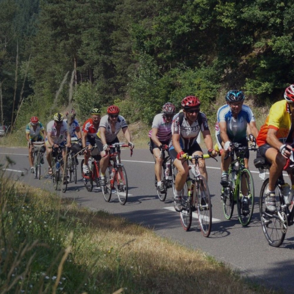 audax200 carousel